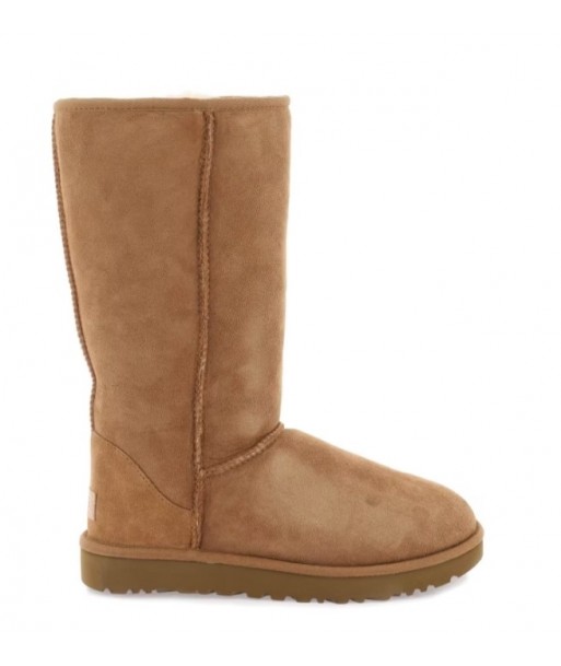 UGG stivali invernali e stivaletti, scarpe beige